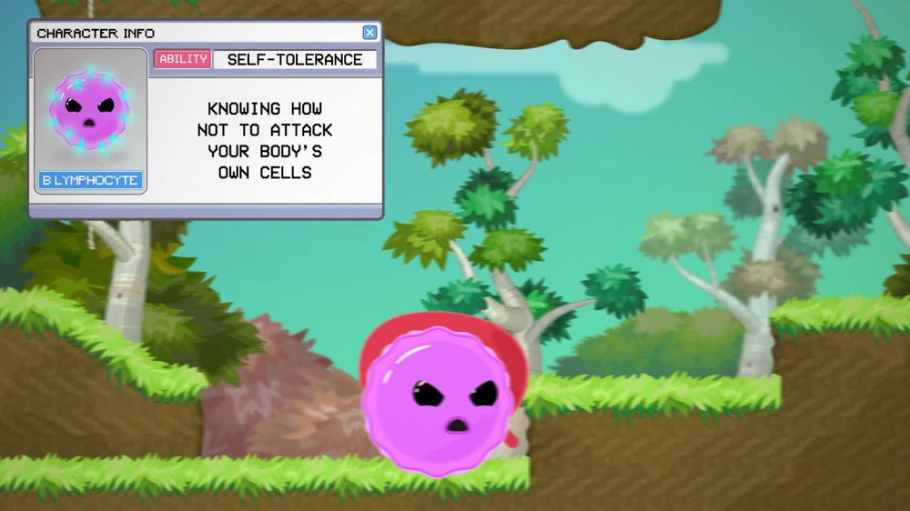 B Cells Vs T Cells B Lymphocytes Vs T Lymphocytes Adaptive Im