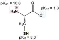 Isoelectric Point of Amino Acids with Ionizable R-Groups Video Tutorial ...