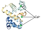 Simple Vs. Conjugated Proteins Video Tutorial & Practice | Pearson+ ...