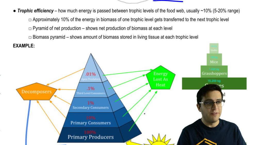 BioFlix: The Carbon Cycle | Pearson+ Channels