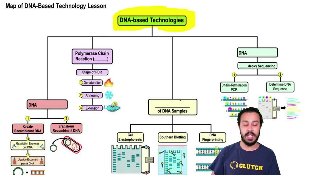 DNA cloning and DNA Biomolecules MCAT Khan Acad