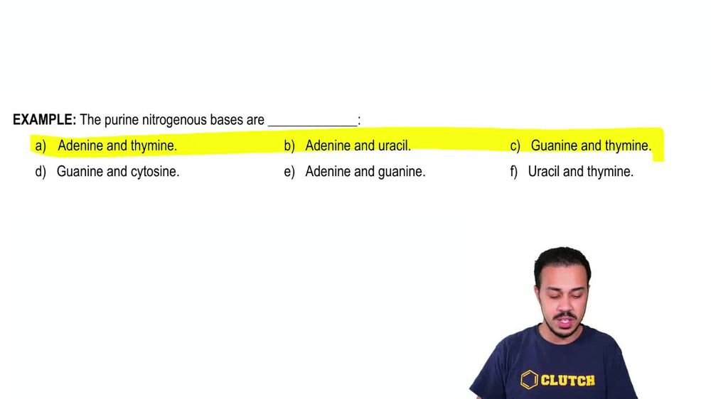 Nucleic Acids Pearson+ Channels
