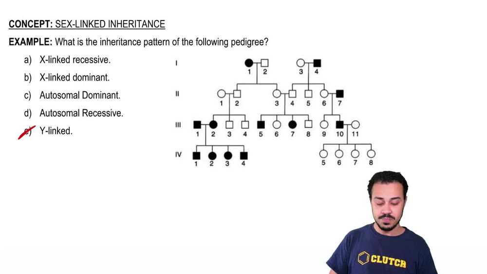 Hemophilia is an X-linked disorder. The daughter of a father with ...