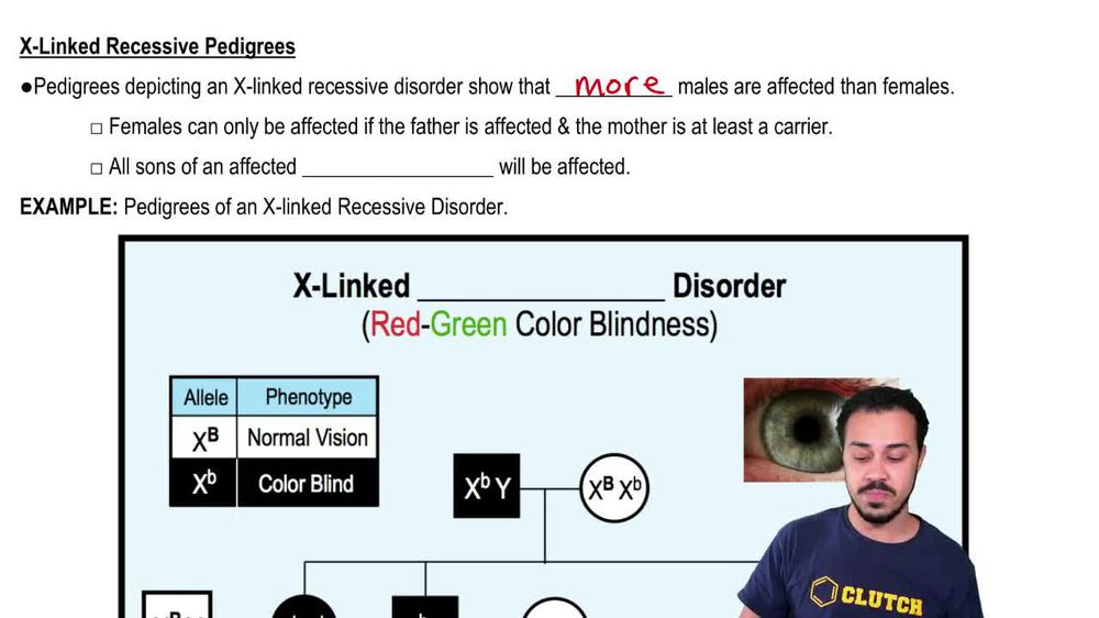 XLinked Recessive Pedigrees Pearson+ Channels