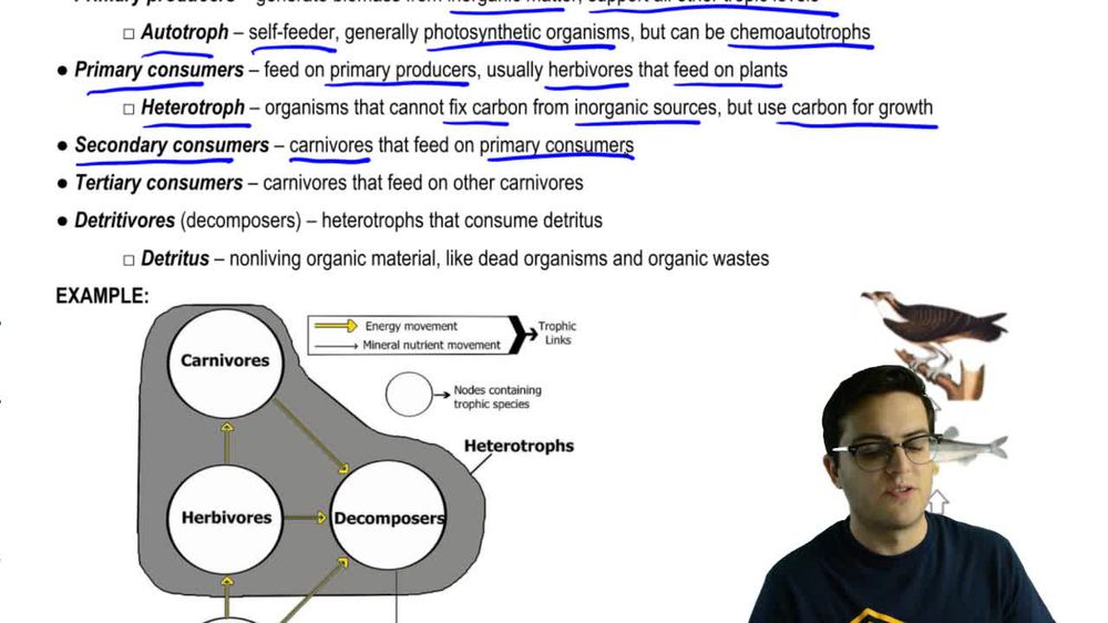 BioFlix: The Carbon Cycle | Pearson+ Channels