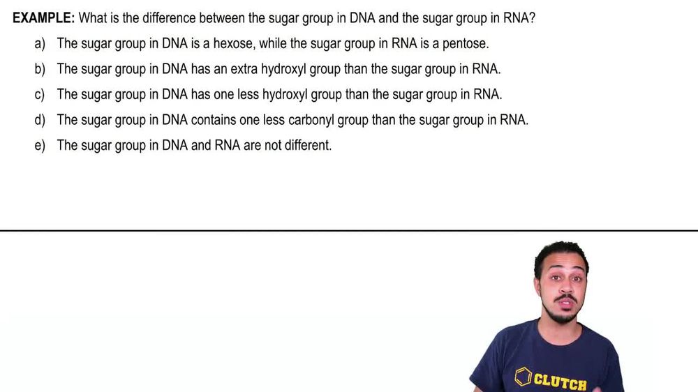 Enzymes that break down DNA catalyze the hydrolysis of the covale