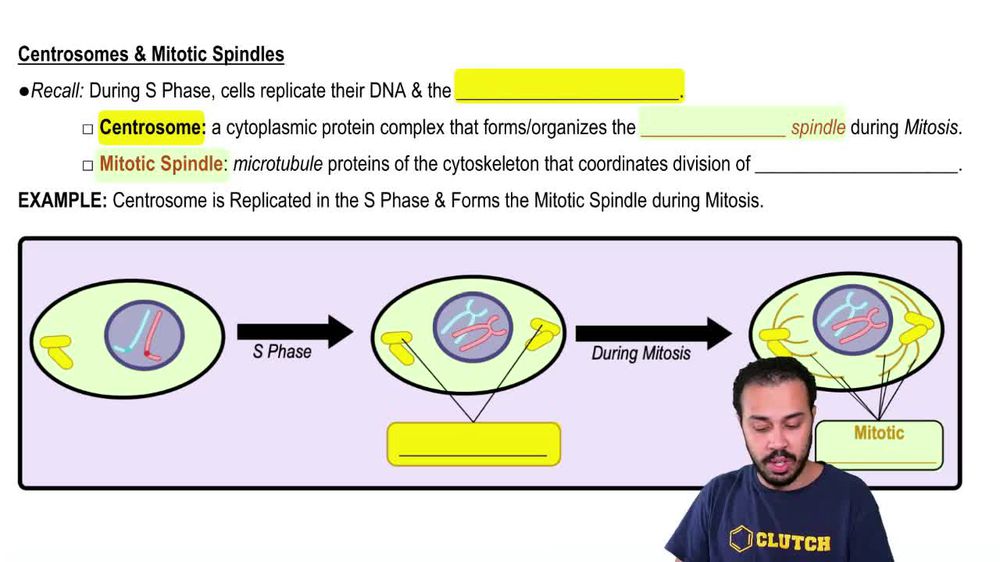 Centrosomes & Mitotic Spindles Pearson+ Channels