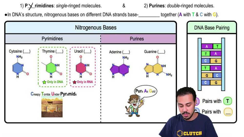 Enzymes that break down DNA catalyze the hydrolysis of the covale ...