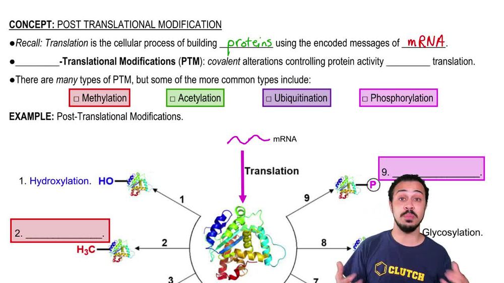 Post Translational Modification Significance