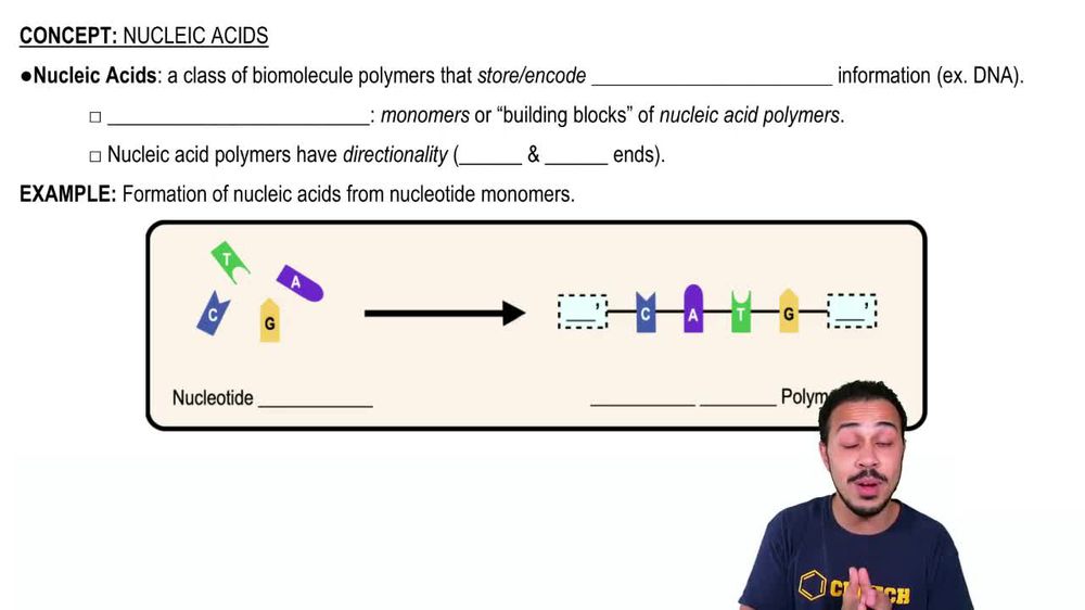 Enzymes that break down DNA catalyze the hydrolysis of the covale