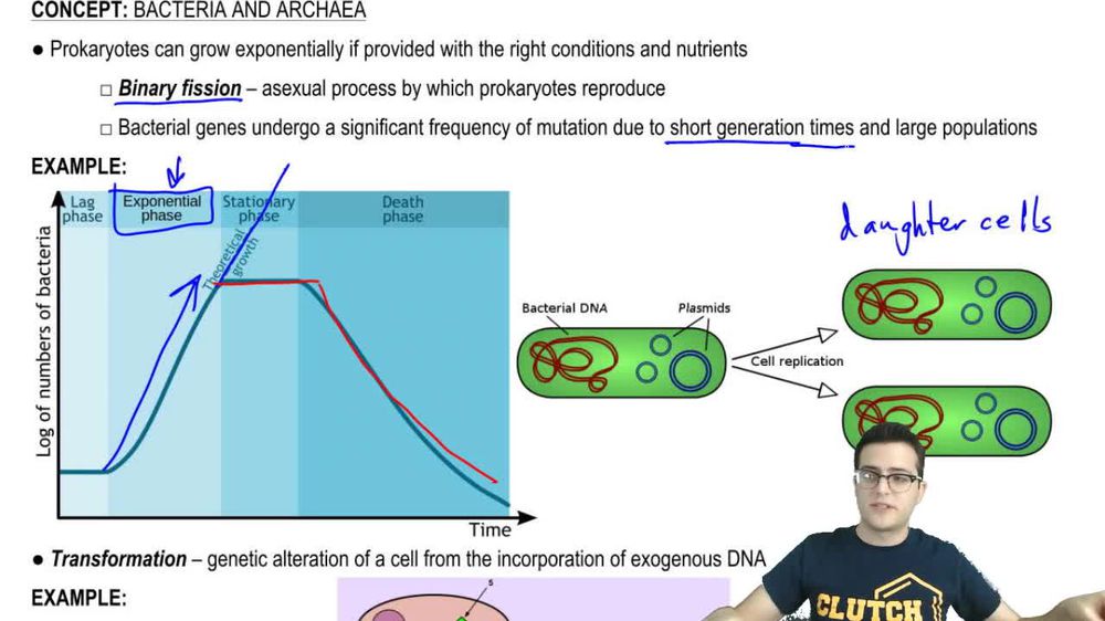 An F+ bacterial cell __________. Pearson+ Channels